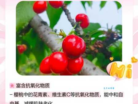 吃樱桃的好处和坏处有哪些这些你需要知道