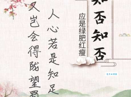 知否知否应是绿肥红瘦是什么意思诗词赏析与解读