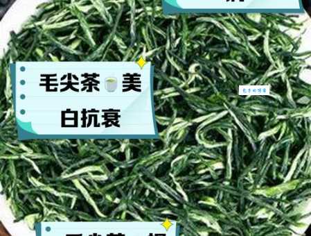 喝毛尖的三大好处 降压降脂还能延缓衰老