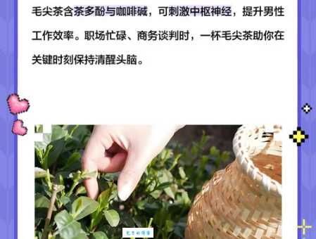 喝毛尖的三大好处 降压降脂还能延缓衰老