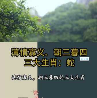 朝三暮四打一个生肖看看你猜中没