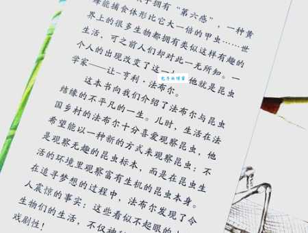 法布尔的简介了解这位昆虫学家的生平故事