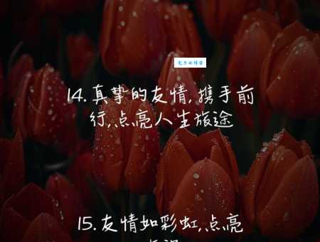 友谊最暖心短句精选 这些话语让你感受真情温暖