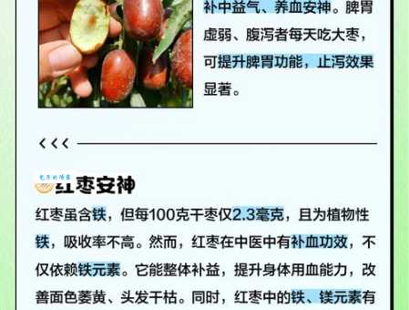 吃红枣有什么好处这些功效你都知道吗