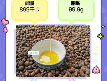 茶油是什么带你了解它的营养与用途