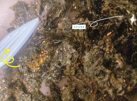 海苔的做法大全 教你轻松做出美味海苔零食