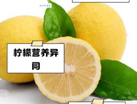 青柠檬和黄柠檬的区别哪种更适合泡水喝