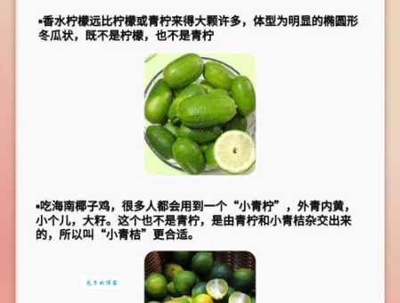 青柠檬和黄柠檬的区别哪种更适合泡水喝