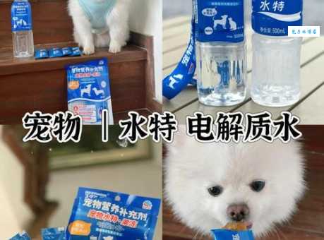 电解质水有什么好处 比普通矿泉水更解渴吗