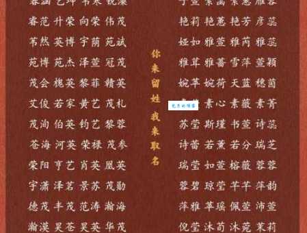 草字头的名字有哪些适合宝宝取名的精选名单