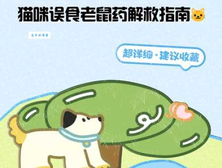 猫为什么要吃老鼠专家给出三种合理解释