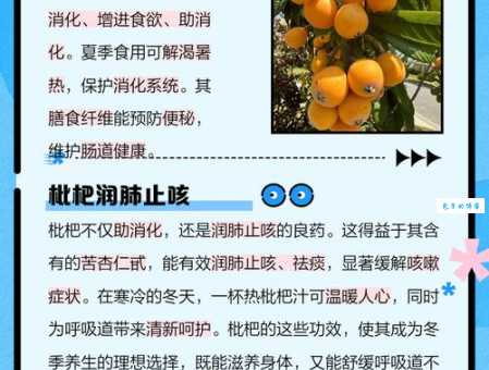 琵琶水果功效与作用是什么 常吃琵琶果能改善健康吗