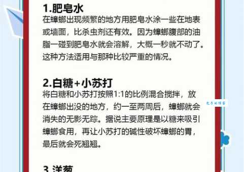 灭蟑螂最好办法有哪些 家里蟑螂多试试这几种方法
