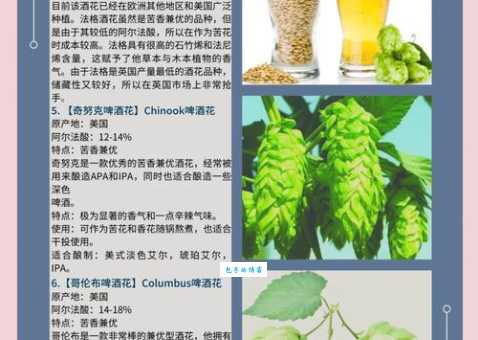 啤酒花是什么揭秘啤酒中的神秘植物成分