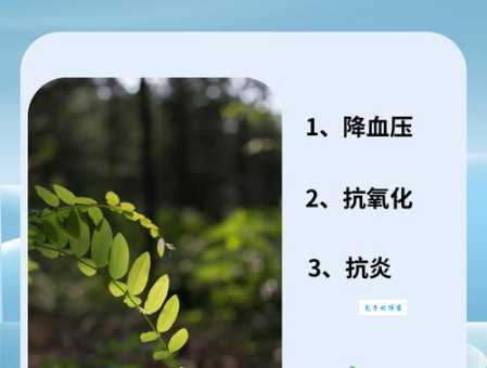 南非叶的功效与作用有哪些 揭秘它的神奇保健效果