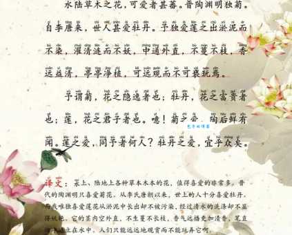 周敦颐简介爱莲说背后的理学大师生平事迹