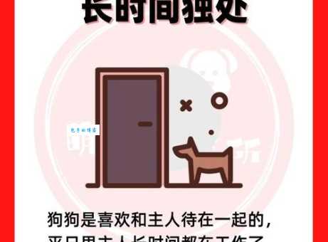 玩物丧志指什么动物 小心这些动物让你无法专心工作