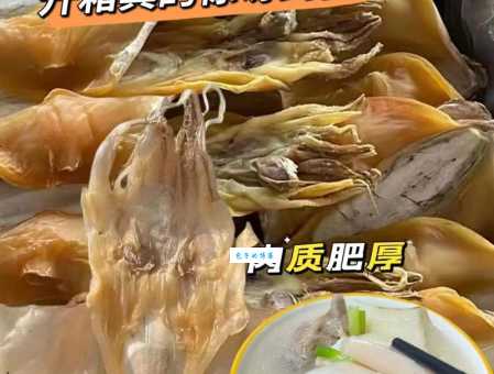 墨鱼干怎么做好吃 这样做墨鱼干软嫩入味全家爱