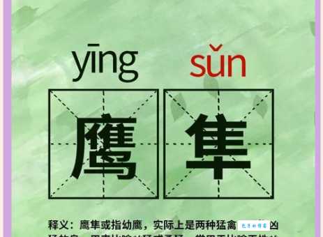 鹰组词和拼音怎么读 教你正确发音与组词