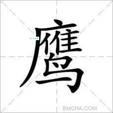 鹰组词和拼音怎么读 教你正确发音与组词