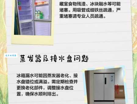 冰箱里的冷气从哪儿来的 原来是这样工作的