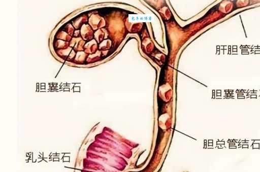舍利子是怎么形成的从化学角度解析其形成过程