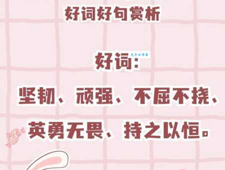 不屈不挠是什么意思 教你识别身边真正不屈不挠的人
