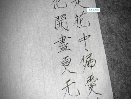 此花开尽更无花上一句是什么 诗词出处介绍