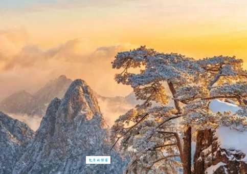 中国天下奇观有哪些 盘点国内十大绝美风景