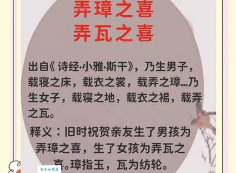 弄璋之喜打一字谜语解析一看就懂