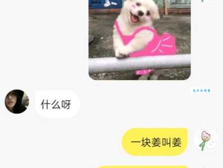 无情哈拉少是什么意思网络热梗解析来啦