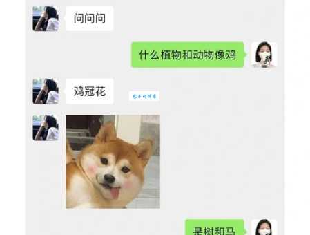 无情哈拉少是什么意思网络热梗解析来啦