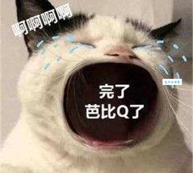 网络热梗BBQ了芭比Q 抖音网友都在玩的梗
