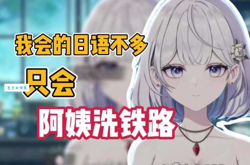 阿姨洗铁路是什么歌 背后的故事和创作背景
