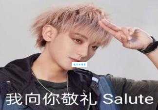 敬礼salute是什么梗 这个动作到底有啥含义