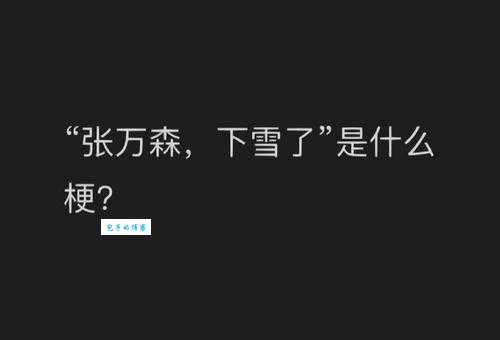 张万森是什么梗 这个梗是怎么火起来的揭秘