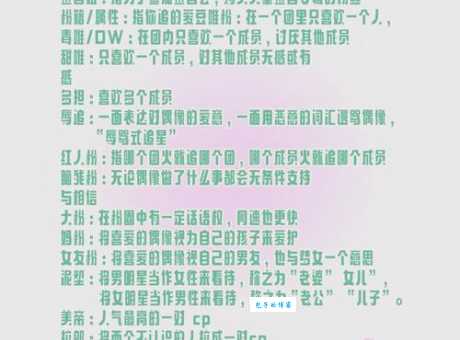 什么是CP粉？追星族必知的饭圈术语解析