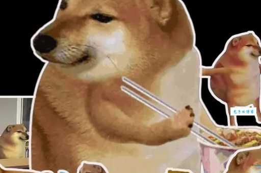 doge是什么意思 这个搞笑表情包背后的故事你知道吗
