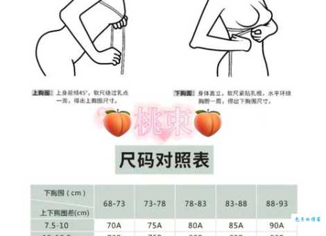 36d的胸围是多少算大 常见胸围尺寸对比解析