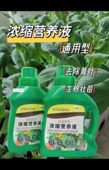 什么叫浓缩液 浓缩液在生活中的常见应用