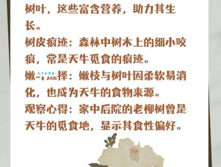 天牛吃什么了解天牛的日常饮食习性
