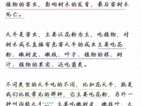 天牛吃什么了解天牛的日常饮食习性