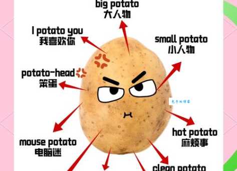 I potato you是什么意思 原来不是简单的我土豆你