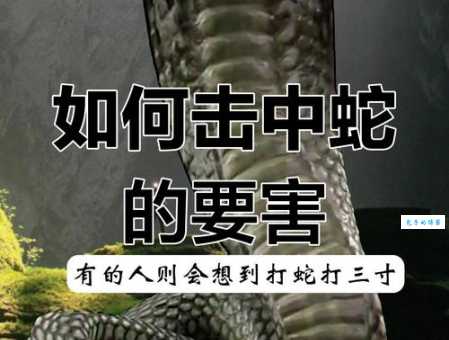 打蛇打七寸的七寸是指什么位置 快速制服毒蛇方法