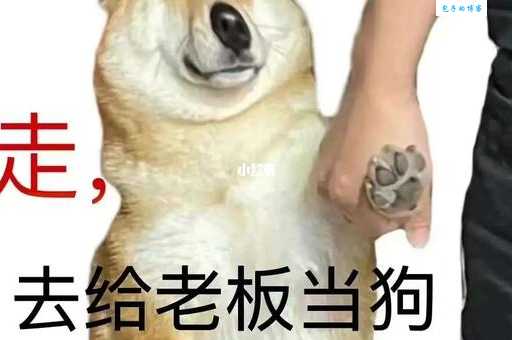 老六是个什么梗 教你如何正确使用这个梗