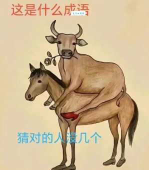 草泥马是什么意思 网络流行语背后的故事和趣闻