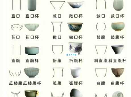 主人杯是什么意思 为什么老茶客都有自己的杯子