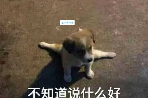 你叉叉什么意思网络用语 这个梗的来源是什么