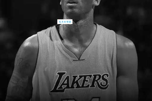 mamba out到底什么意思 科比退役时这句话的含义