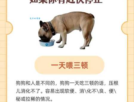 黑喂狗是什么意思 网络流行语解析来啦